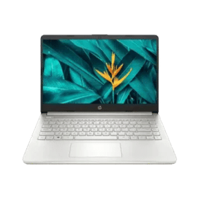 HP 14s-dr2007TU (2P0Q1PA) (Core i7 11th Gen/8 GB/512 GB SSD/Windows 10)