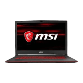 MSI GL73 8SE-039IN (Core i7 8th Gen/16 GB/1 TB 256 GB SSD/Windows 10/6 GB)