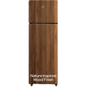 Godrej RT EONVOGUE 280C RI WT WD 244 Ltr Double Door