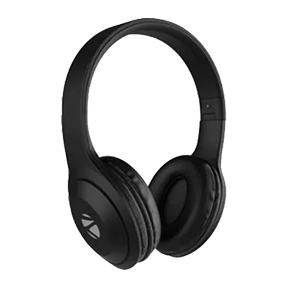 Zebronics Zeb Duke 101