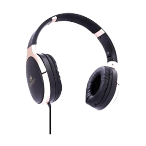 Zebronics Zeb-Elegance