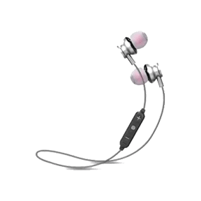 Zebronics Zeb-Metallic