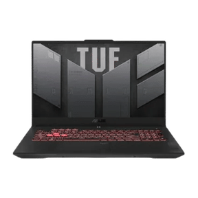 Asus TUF Gaming F17 FX707VV-HX067WS (Core i9 13th Gen/16 GB/1 TB SSD/Windows 11/8 GB)