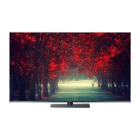 Panasonic VIERA TH-65FX800D 65 inch LED 4K