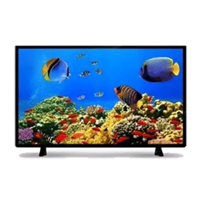 Impex Fiesta 31.5 inch LED HD-Ready