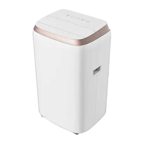 Lloyd LP12B01TP 1 Ton Portable AC