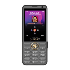 Saregama Carvaan M31