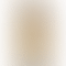 thumbnail_6