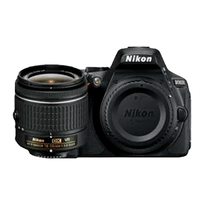 Nikon D5600 (AF-P 18-55mm f/3.5-f/5.6G VR Kit Lens) Digital SLR