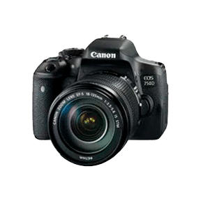 Canon EOS 750D (EF-S 18-135mm f/3.5-f/5.6 IS STM Kit Lens) Digital SLR