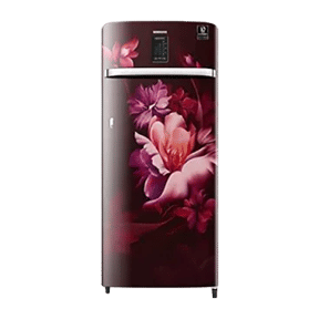 Samsung RR23A2J3XRZ 220 Ltr Single Door