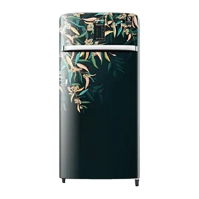 Samsung RR21A2E2YTG 198 Ltr Single Door