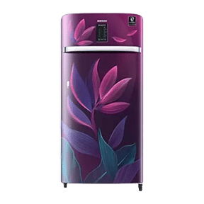 Samsung RR21A2E2X9R 198 Ltr Single Door