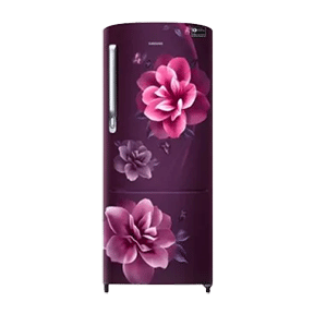 Samsung RR24A272YCR 230 Ltr Single Door