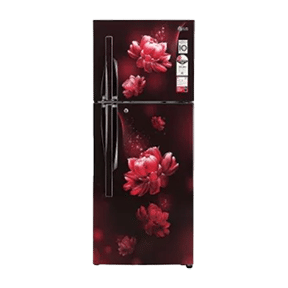 LG GL-S292RSCY 260 Ltr Double Door