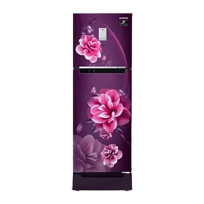 Samsung RT28A3C22CR 244 Ltr Double Door