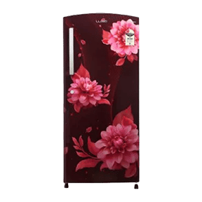 Lloyd GLDC242SBWT2PB 225 Ltr Single Door