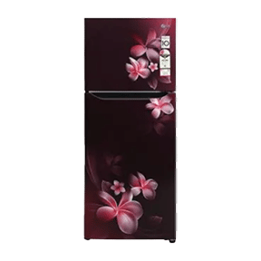 LG GL-N292DSPY 260 Ltr Double Door