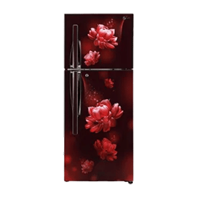 LG GL-T292RSCX 260 Ltr Double Door