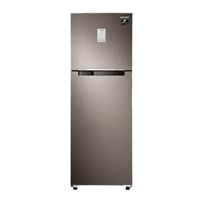 Samsung RT30A3A22DX 265 Ltr Double Door
