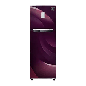 Samsung RT30A3A234R 265 Ltr Double Door