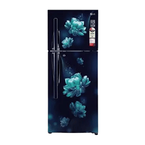 LG GL-S292RBCY 260 Ltr Double Door