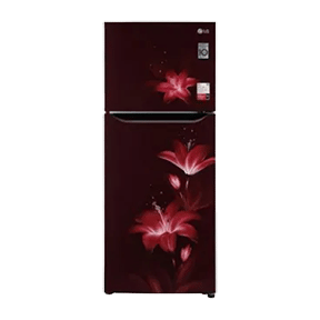 LG GL-N292BRGY 260 Ltr Double Door