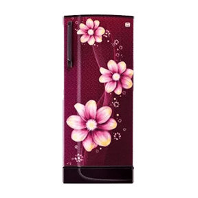 Godrej RD EDGESX 236C 33 TAI 221 Ltr Single Door