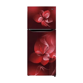 LG GL-N292DSDY 260 Ltr Double Door