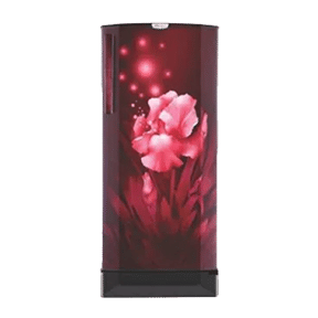 Godrej RD EDGEPRO 205D 43 TAI 190 Ltr Single Door