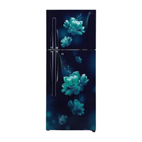 LG GL-T292RBC3 260 Ltr Double Door