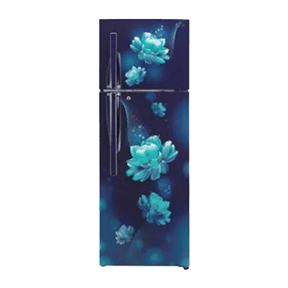 LG GL-T322RBCY 308 Ltr Double Door