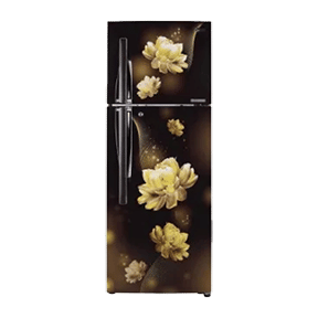 LG GL-T302RHCY 284 Ltr Double Door