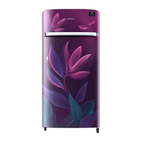 Samsung RR21T2G2W9R 198 Ltr Single Door