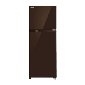 Toshiba GR-AG36IN 325 Ltr Double Door
