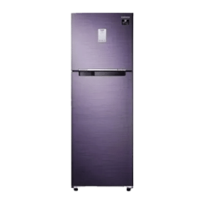 Samsung RT30T3A23UT 265 Ltr Double Door