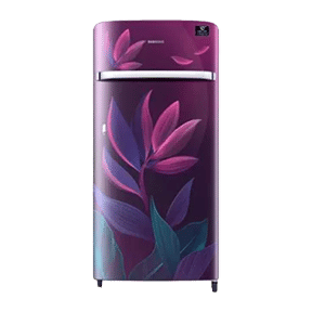 Samsung RR21T2G2X9R 198 Ltr Single Door