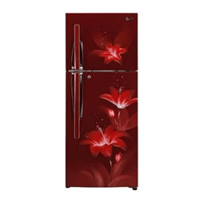 LG GL-T302RRGU 284 Ltr Double Door