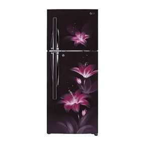 LG GL-C292RPGY 260 Ltr Double Door