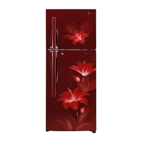 LG GL-T292RRGY 260 Ltr Double Door