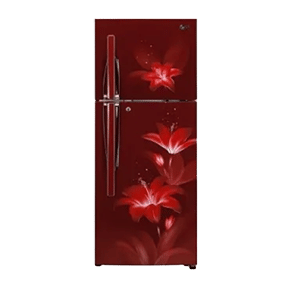 LG GL-C292RRGY 260 Ltr Double Door
