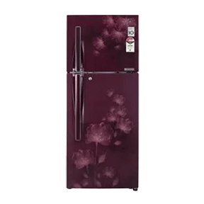 LG GL-D292JSFL 258 Ltr Double Door
