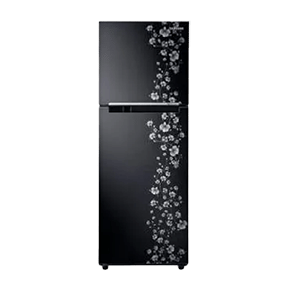Samsung RT27JARMABX/TL 253 Ltr Double Door