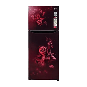 LG GL-S292SSEX 260 Ltr Double Door