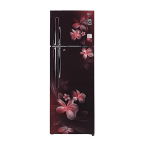 LG GL-T322RSPX 308 Ltr Double Door