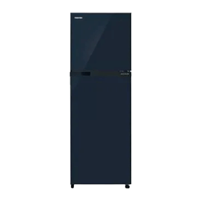 Toshiba GR-A28INU 252 Ltr Double Door