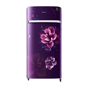 Samsung RR21T2G2XCR 198 Ltr Single Door