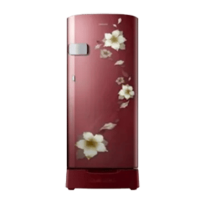 Samsung RR19N1Z22R2 192 Ltr Single Door