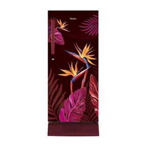 Haier HRD-1955PRC-E 195 Ltr Single Door