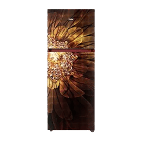 Haier HRF-2784PCG-E 258 Ltr Double Door